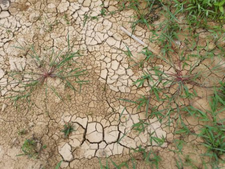 Foto de Dry crack earth at the agriculture land due to drought. - Imagen libre de derechos