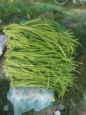 Téléchargez les photos : Bouquet d'asperges vertes fraîches crues - en image libre de droit