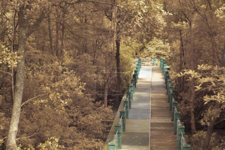 Photo for Infrared image of concrete bridge on the mangrove forest pathway along the coastline. - Royalty Free Image