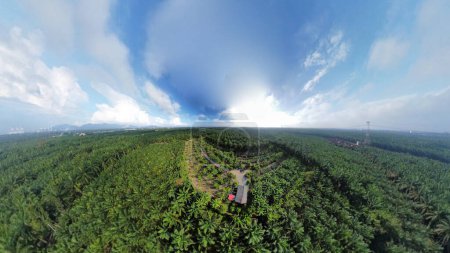 Photo for Aerial panoramic view on the environment scene around the palm oil plantation landscape. - Royalty Free Image