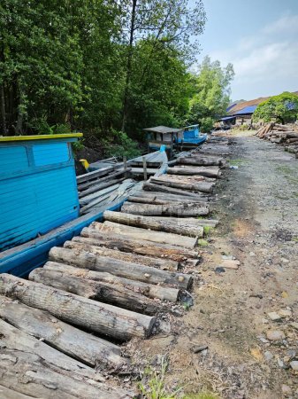 escena exterior del tronco de madera de manglar cortado.