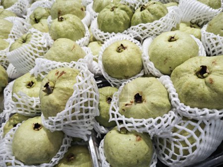 green guava fruit wrapped in foam netting. 