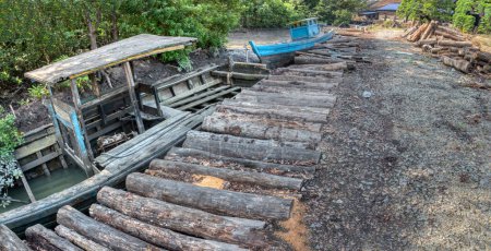 Escena de troncos de manglar fuera del cobertizo de la fábrica de carbón. 