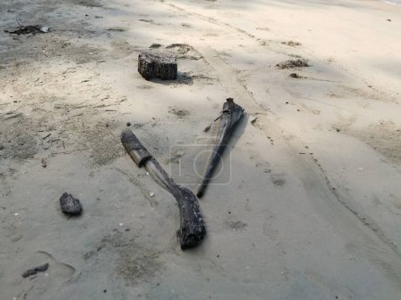 morceau de bois flotté échoué sur une plage de sable