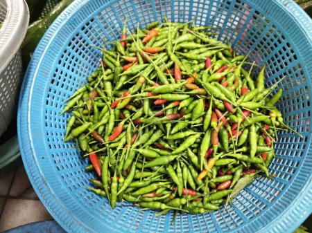 baskets of fresh green mini chili padi.