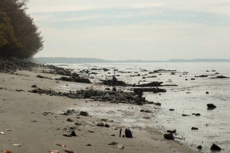 image infrarouge de l'environnement marécageux de la plage de boue à marée basse.