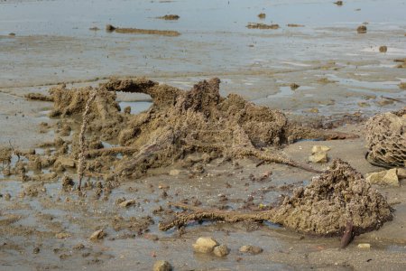 imagen infrarroja del ambiente pantanoso de la playa de barro en la playa de marea baja.