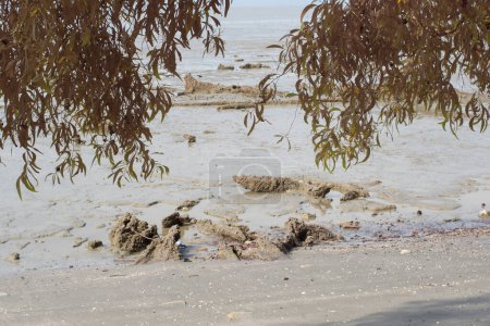 Infrarotaufnahme der sumpfigen Matschstrandumgebung am Niedrigwasser-Strand.
