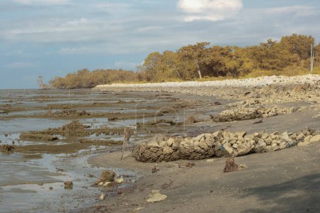 infrared image of the swampy mud beach environment at the low-tide beach.