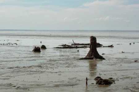 imagen infrarroja del ambiente pantanoso de la playa de barro en la playa de marea baja.