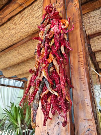 a bundle red chilies on string hanging to dry on the ceiling wood panel.