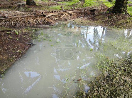 Téléchargez les photos : Les eaux de pluie provenant de la ferme qui s'écoulent dans le système de drainage. - en image libre de droit