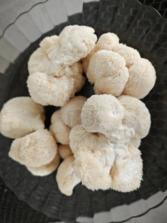 une assiette de champignons crinière de lion de couleur blanche.