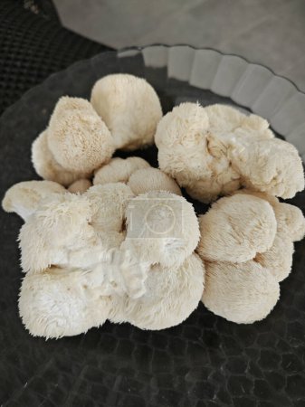 une assiette de champignons crinière de lion de couleur blanche.