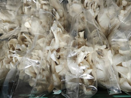 champignon huître blanche emballé dans des sacs en plastique.