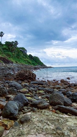 Photo for Seashore with a rocky beach of coral, green plants and palm trees in the distance - Royalty Free Image