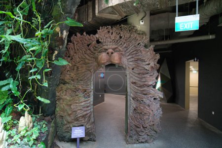 Téléchargez les photos : Belle sculpture sur bois d'un lion - en image libre de droit