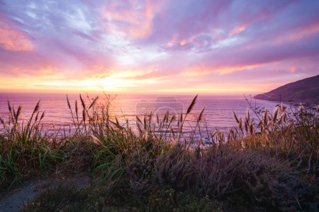 Foto de Una hermosa puesta de sol rosa en la costa Big Sur de la costa central de California. Cielo nublado colorido, tranquilo océano Pacífico y plantas nativas de California en la playa a la luz del sol dorado - Imagen libre de derechos