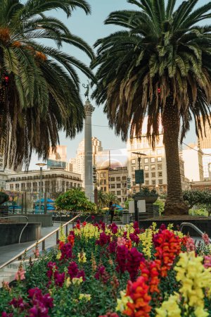 Téléchargez les photos : San Francisco, Californie, 8 avril 2024. Les fleurs printanières offrent une vue sur le cœur animé du paradis de la vente au détail de San Francisco - en image libre de droit