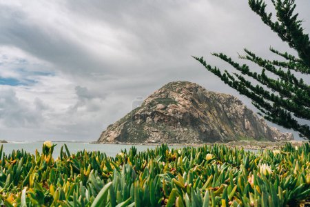 Morro Rock, ein vulkanischer Stecker in der Bucht von Morro an der Pazifikküste am Eingang zum Hafen von Morro Bay, Zentralkalifornien