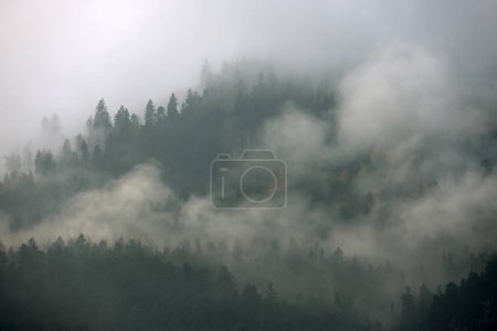 Téléchargez les photos : Winter landscape with Parang mountains, Romania, Europe - en image libre de droit