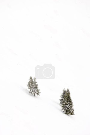 Téléchargez les photos : Winter landscape with Parang mountains, Romania, Europe - en image libre de droit