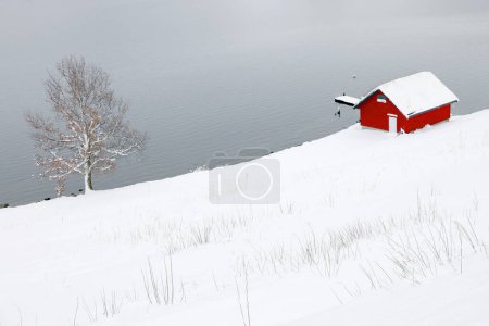 Téléchargez les photos : Paysage hivernal à Hornindalsvatnet, Holmoyane, Norvège, Europe - en image libre de droit