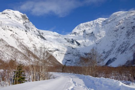 Foto de Noruega naturaleza - paisaje glaciar. Parque Nacional Jostedalsbreen - Glaciar Briksdalsbreen - Imagen libre de derechos