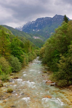 Téléchargez les photos : Majestueuse rivière turquoise Soca dans la forêt verte, Bovec, Slovénie, Europe. Beau lieu de rafting et de kayak en Europe. Grand lieu de loisirs et destination de kayak. - en image libre de droit