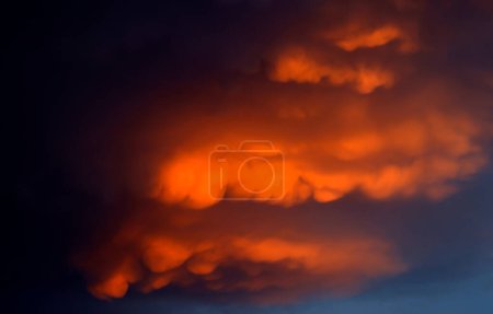 Photo for Mammatus clouds forming at sunset ahead of severe thunderstorm - Royalty Free Image