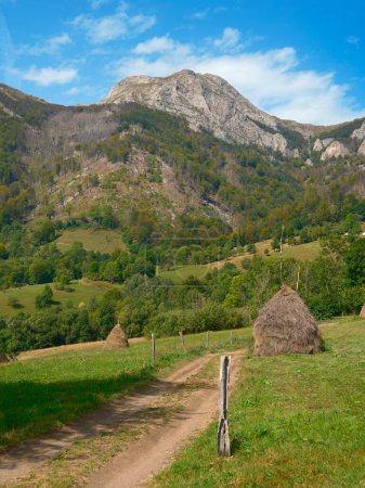 Téléchargez les photos : Via Transilvanica sentier dans les montagnes Mehedinti, Roumanie, Europe - en image libre de droit