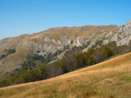 Téléchargez les photos : Arjana pic (1511m) fin de l'été paysage dans les montagnes Cernei, Carpates, Roumanie, Europe - en image libre de droit