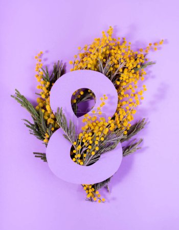 Paper art to 8 March, Happy women's day celebrating card. Number eight cut in the paper against fresh mimosa Flowers on a violet color background.