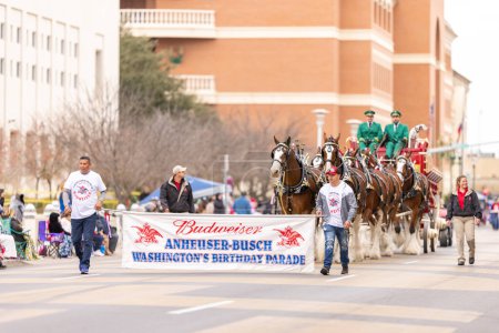 Foto de Laredo, Texas, Estados Unidos - 19 de febrero de 2022: El desfile de cumpleaños de Anheuser-Busch Washingtons, The Budweiser Clydesdales tirando del vagón de la cerveza - Imagen libre de derechos