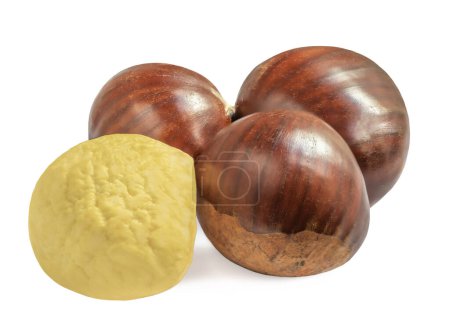 Photo for Ripe chestnuts isolated on white background. Raw Chestnuts for Christmas closeu - Royalty Free Image