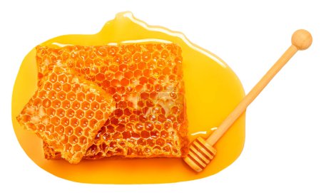 Photo for Honey stick and  Honeycomb isolated on white background, top view. - Royalty Free Image