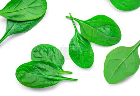 Téléchargez les photos : Fesh green baby spinach leaves isolated on white background. Espinach Set. Pattrn. Flat lay. Spinach Food concept. - en image libre de droit