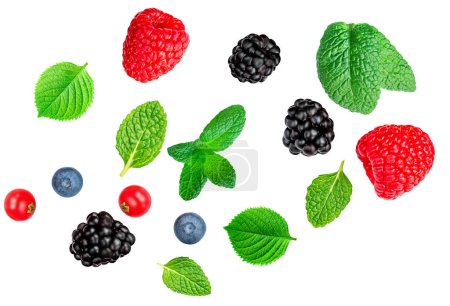 Téléchargez les photos : Fresh berries mix isolated on white background, top view. Summer berry fruits collection. Pattern. Strawberry, Raspberry leaf, Blueberry and Mint leaves, flat lay - en image libre de droit