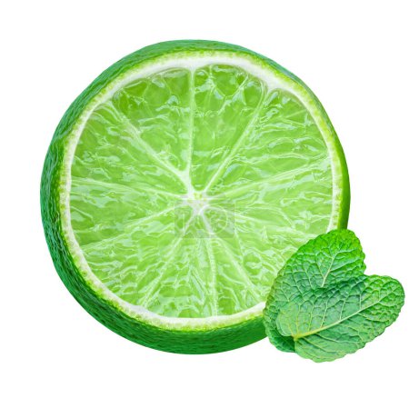 Téléchargez les photos : Lime fruit and mint leaves isolated on the white background. Lime slice with fresh peppermint herb for mojito closeu - en image libre de droit