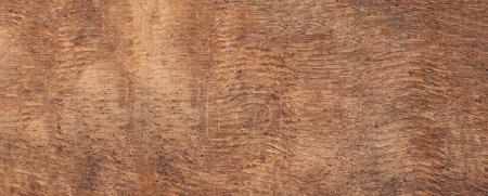 Foto de Textura de madera marrón con arañazos. Antiguo fondo de madera natural shabby cerca u - Imagen libre de derechos