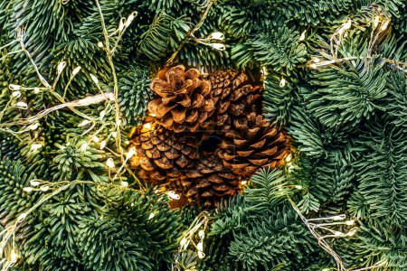 Téléchargez les photos : Branches d'arbre de Noël avec guirlande de lumières dorées et cône comme une vue de dessus de fond. Modèle de Noël, concept du Nouvel An Nature - en image libre de droit