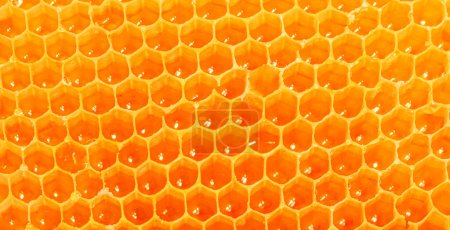 Foto de Honeycomb Pattern. Honey texture as a  background, wallpaper. - Imagen libre de derechos