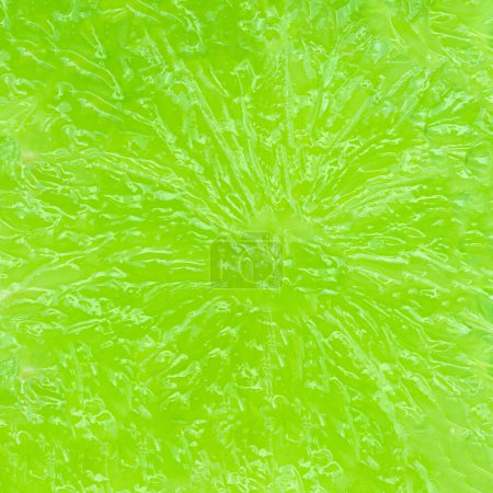 Photo for Lime fruit Pattern. Fresh Lime citrus backgroun - Royalty Free Image