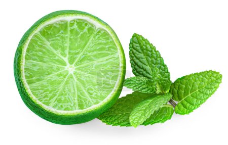 Téléchargez les photos : Lime fruit and mint leaves isolated on the white background. Lime slice with fresh peppermint herb for mojito drin - en image libre de droit