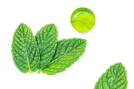 Photo for Green mint  candy isolated on white background. Menthol candy with  mint leaves, creative layout. Top view. Flat la - Royalty Free Image