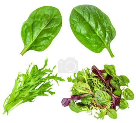 Téléchargez les photos : Les feuilles de salade se mélangent isolées sur fond blanc. Salade Collection vue de dessus, plat. Layou créatif - en image libre de droit