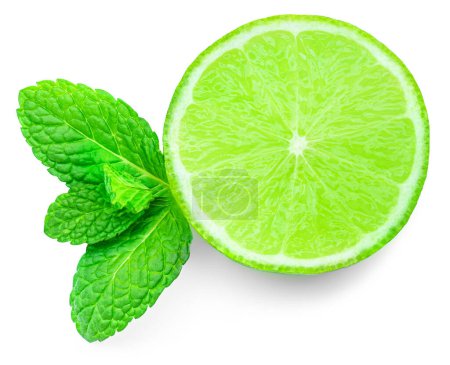Photo for Lime slices isolated on white background. Lime citrus fruit with mint leaf - Royalty Free Image
