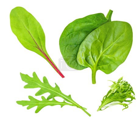Photo for Salad leaves mix with Spinach leaf With ruccola, radicho   isolated on white background. Salad Collection  top view, flat lay. Creative layou - Royalty Free Image