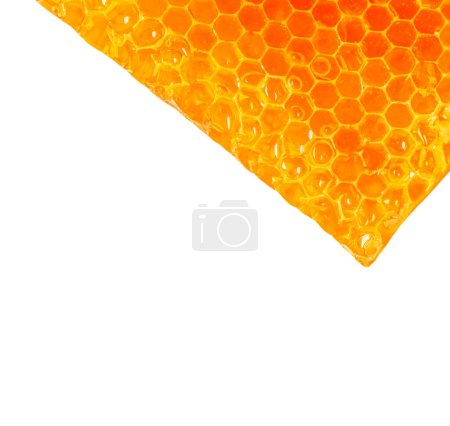 Téléchargez les photos : Peigne en nid d'abeille isolé sur fond blanc. Pose HoneyFlat. - en image libre de droit
