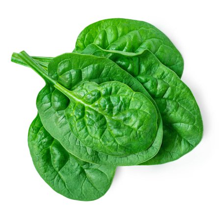 Photo for Spinach leaves isolated on white background. Espinach Close up. Various Spinach Macro.  Food concept. - Royalty Free Image